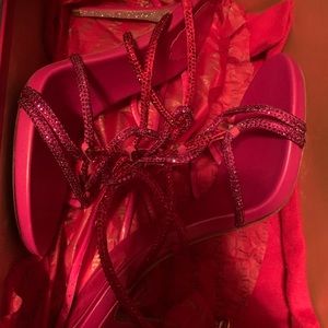 Rene Coavilla Shoes (Never Worn)